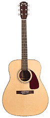 acoustic guitar